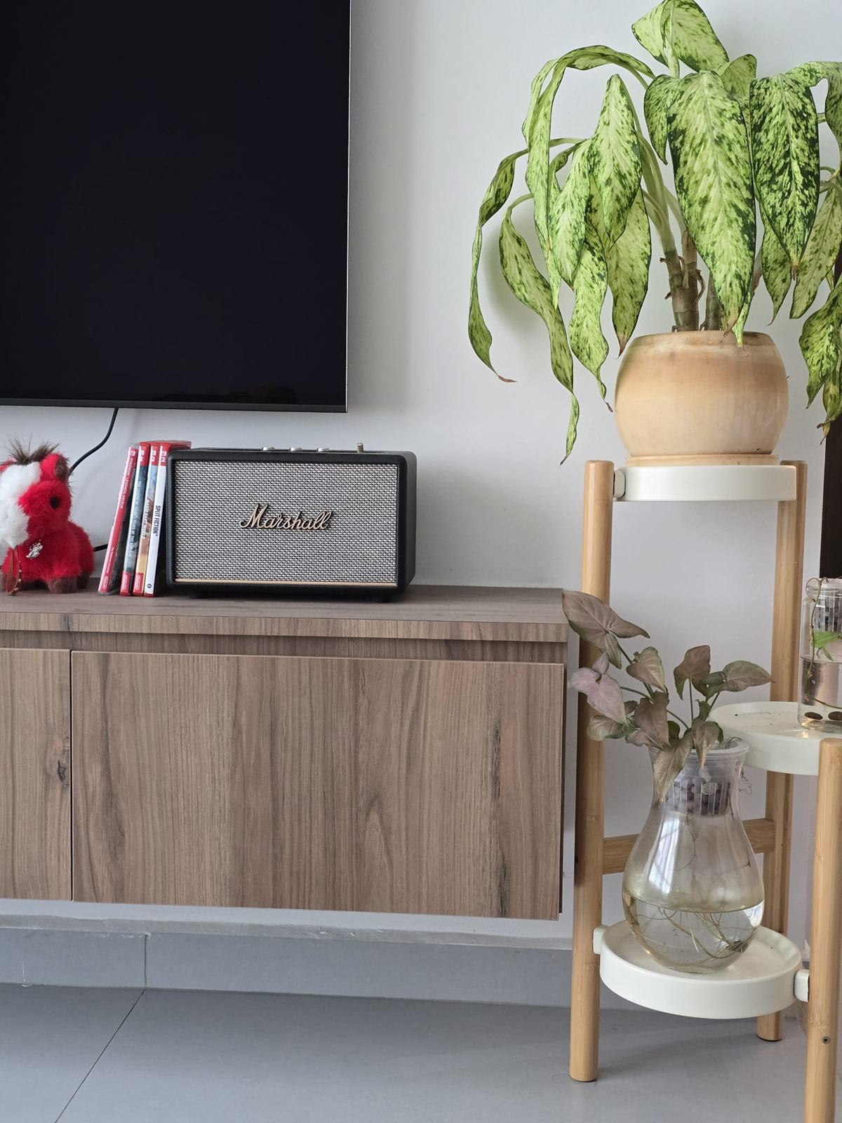 The end of the TV console beside a timber plant stand with trailing leaves and a glass vase.