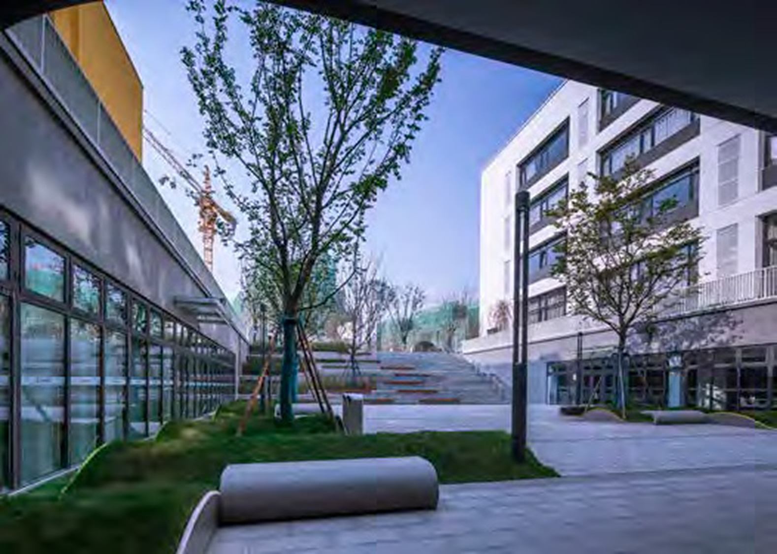 Xi'an Vanke Lidesi Primary School — Planted courtyard.